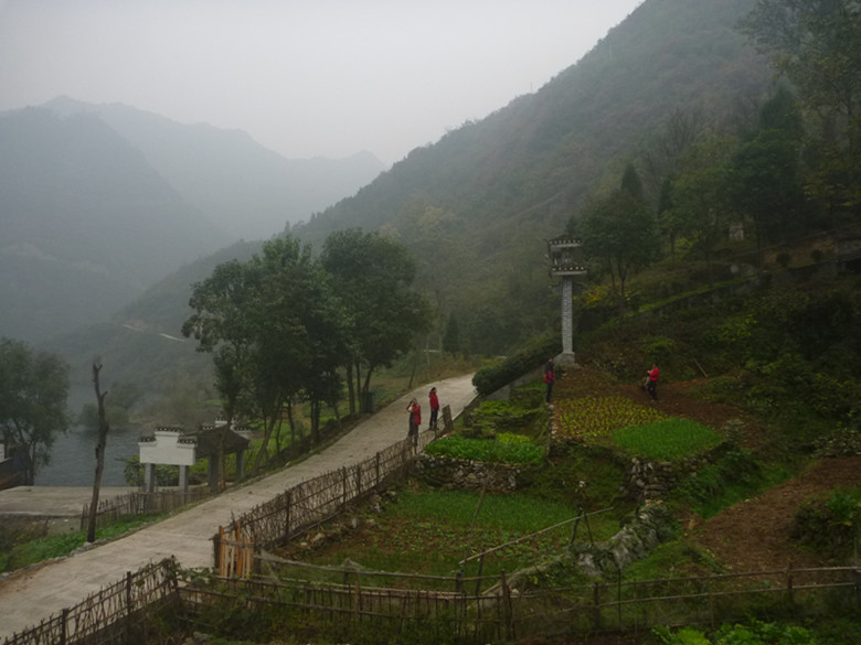 p1090357_.jpg