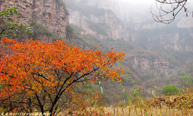 2011ʯҴϿ 1762.jpg