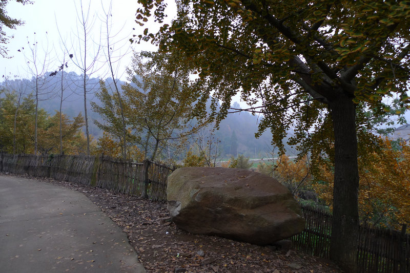 p1050030.jpg