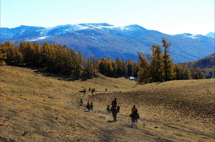 dsc_0455.jpg