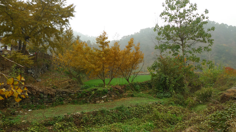 p1050061.jpg