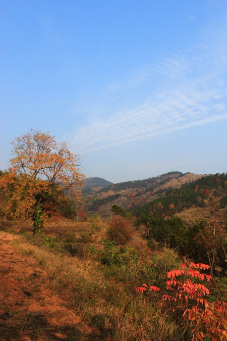 img_3830.jpg