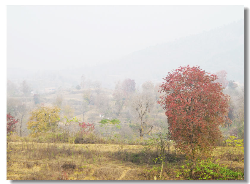 201111112 006.jpg