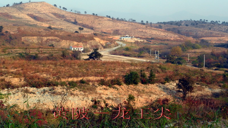 sam_4522_СС.jpg