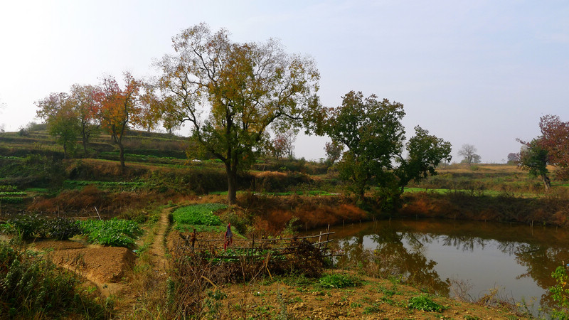 p1060452.jpg