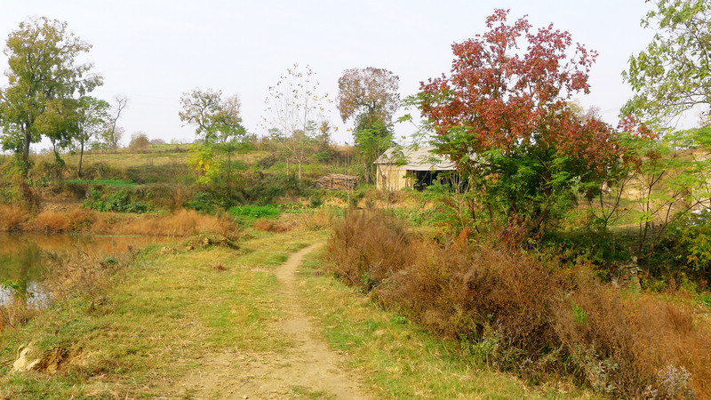 p1060454.jpg