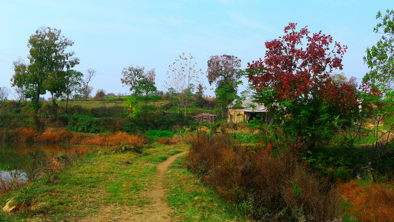 p1060455.jpg