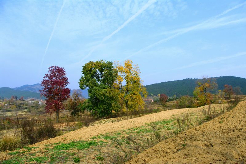 imgp3693.jpg