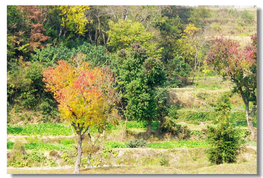 201111112 086.jpg