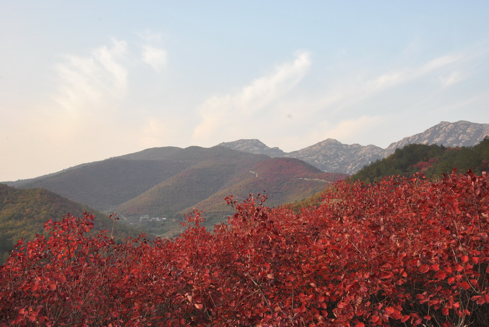 dsc_0248.jpg