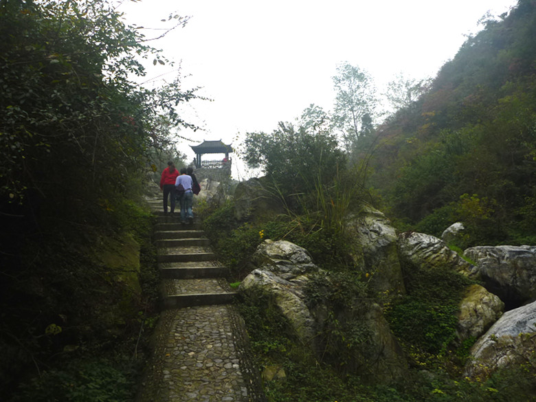p1090400_.jpg
