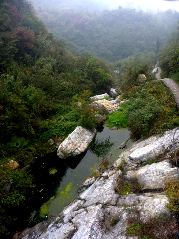 p1090405_.jpg