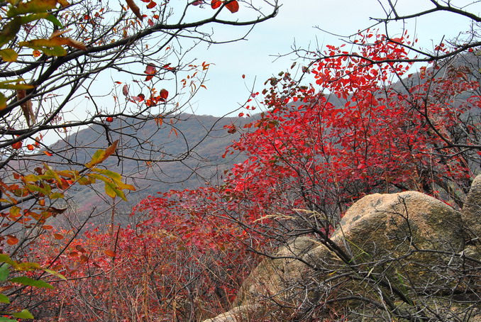 dsc_0415.jpg