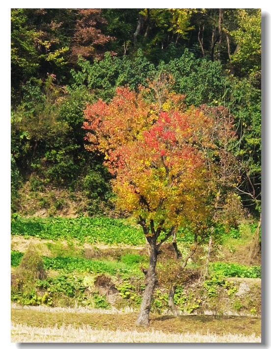 201111112 088.jpg