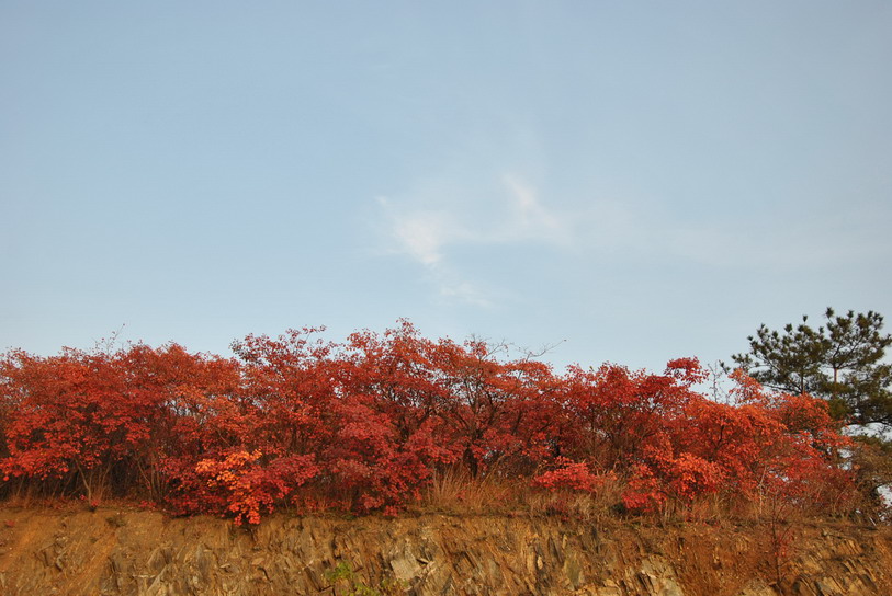dsc_0271.jpg