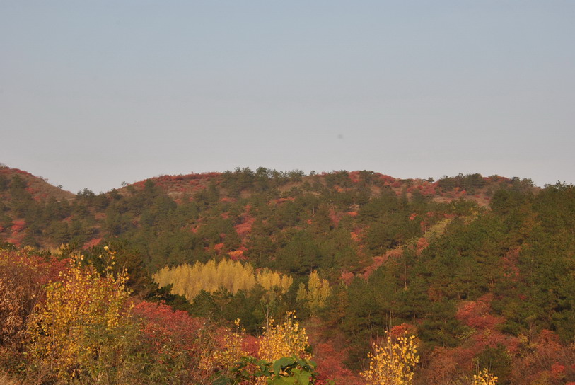 dsc_0217.jpg