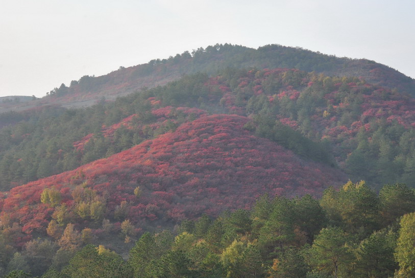 dsc_0240.jpg
