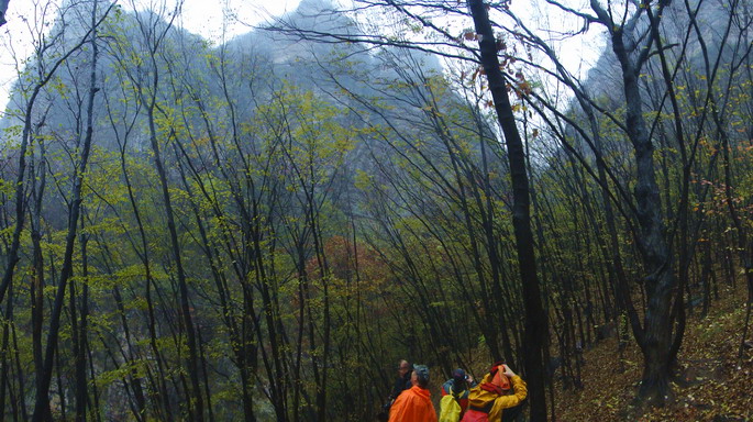 dsc08343.jpg