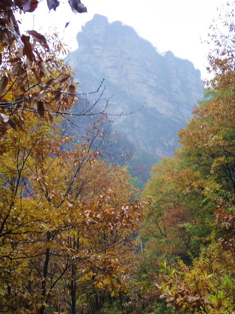 dsc08189.jpg