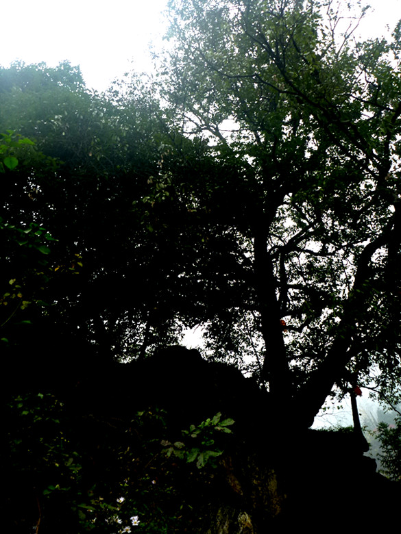 p1090398_.jpg