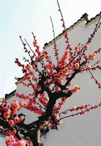 p18_b.jpg