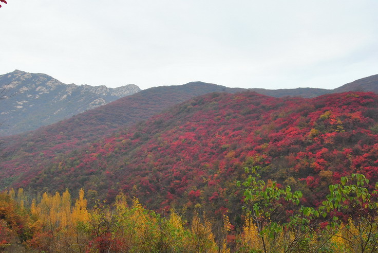 dsc_0492_С.jpg