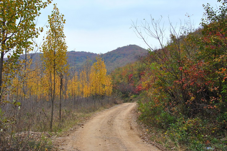dsc_0489_С.jpg