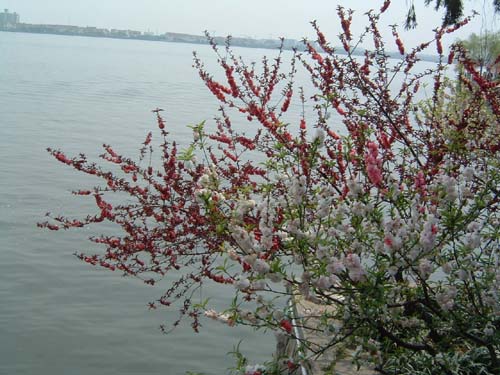 3306_2005-4-1_5.jpg