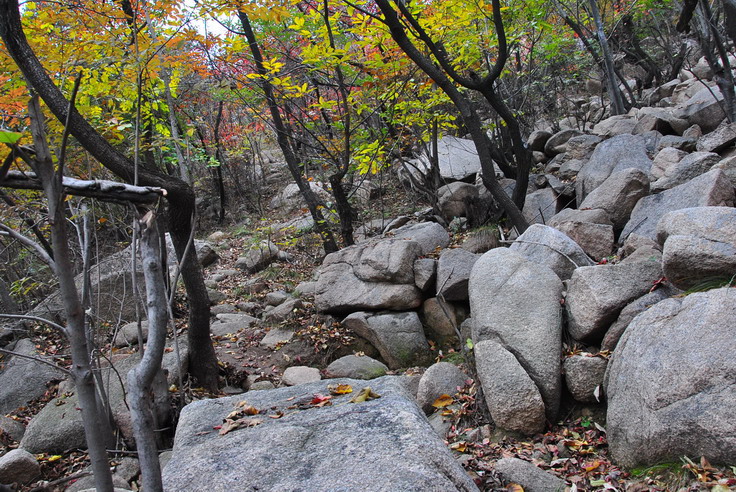 dsc_0424_С.jpg