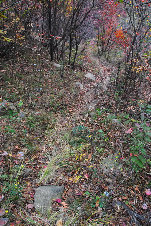 dsc_0441_С.jpg