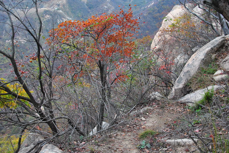 dsc_0377_С.jpg