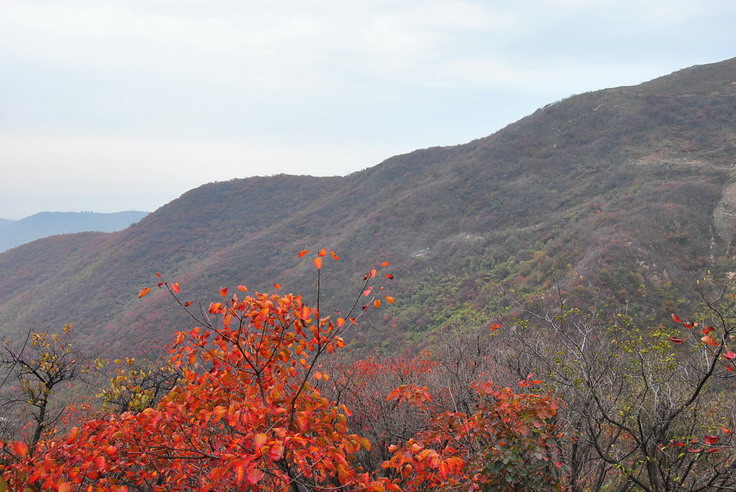 dsc_0390_С.jpg