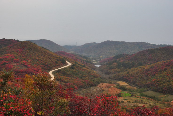 dsc_0359_С.jpg
