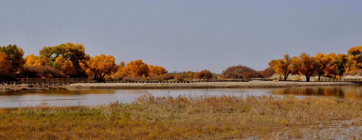 _dsc0194_conew1.jpg