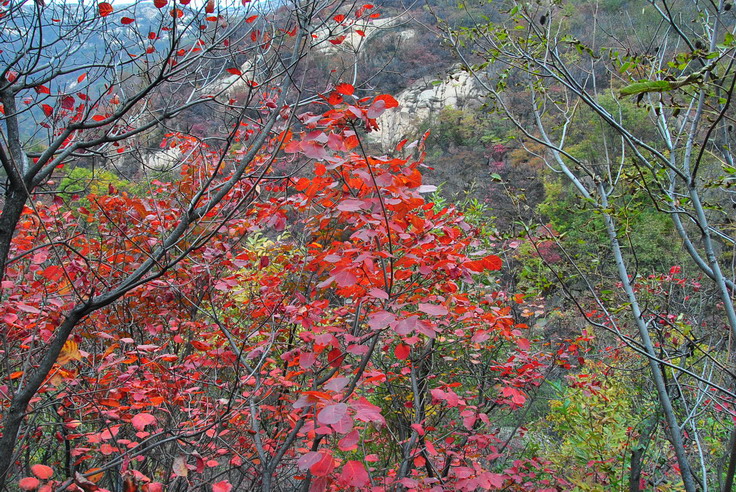 dsc_0451_С.jpg