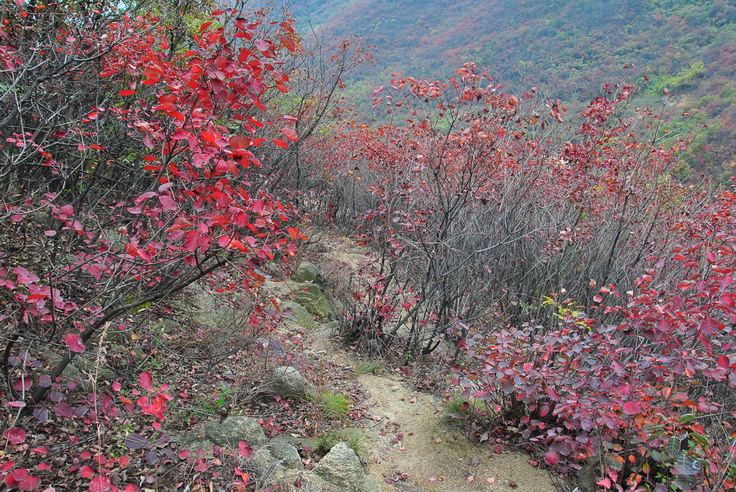 dsc_0456_С.jpg