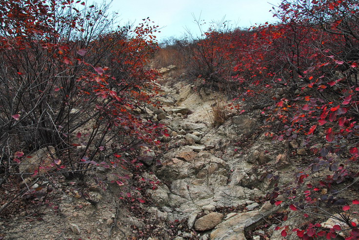 dsc_0470_С.jpg