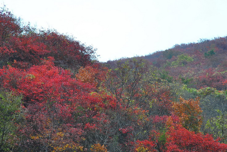 dsc_0480_С.jpg