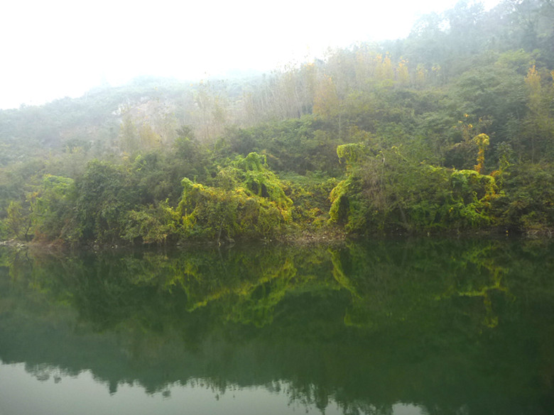p1090511_.jpg
