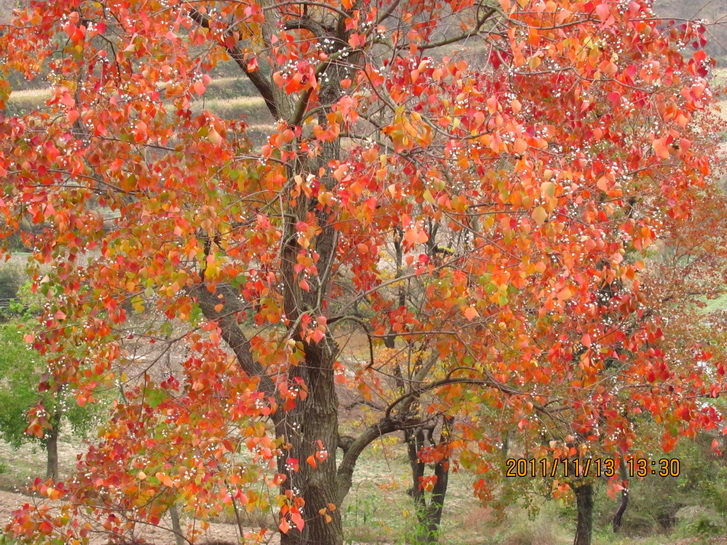 img_4884.jpg