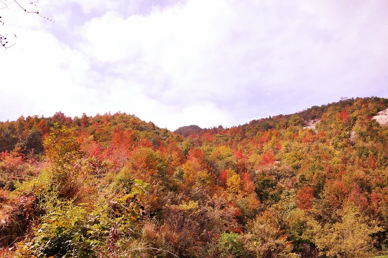 dsc_0373.jpg