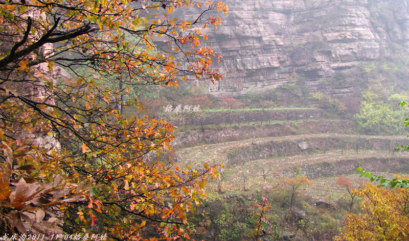 2011ʯҴϿ 116-122.jpg