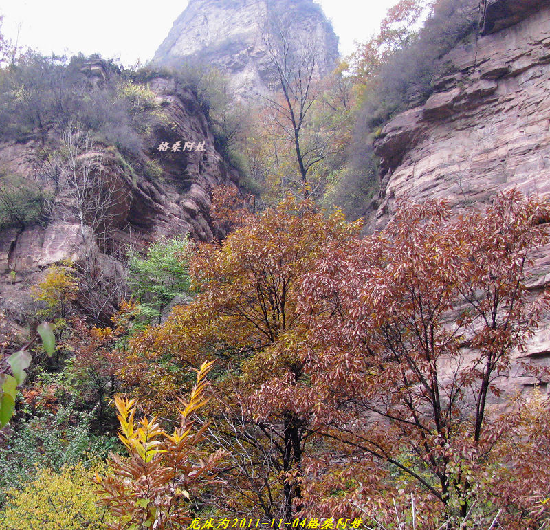 2011ʯҴϿ 1651.jpg