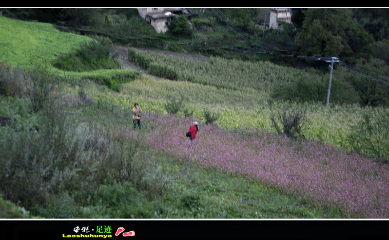 _igp6182.jpg