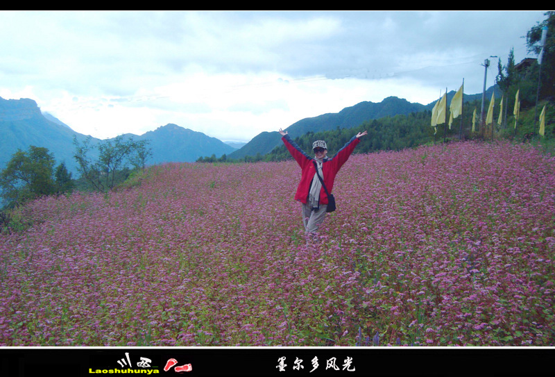 dsc07633.jpg