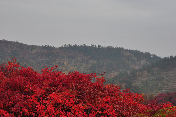 dsc_0502_С.jpg