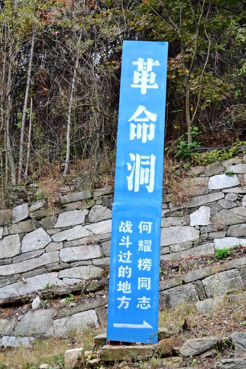 Ҷ 066_conew1.jpg