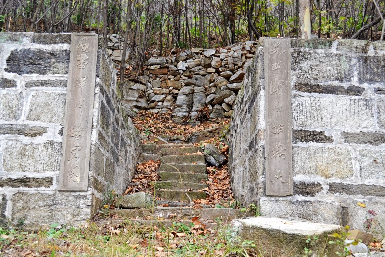 Ҷ 067_conew1.jpg