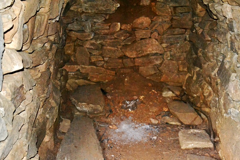 Ҷ 068_conew1.jpg
