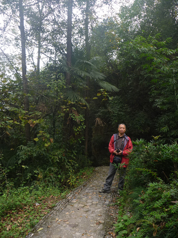 p1090415_.jpg